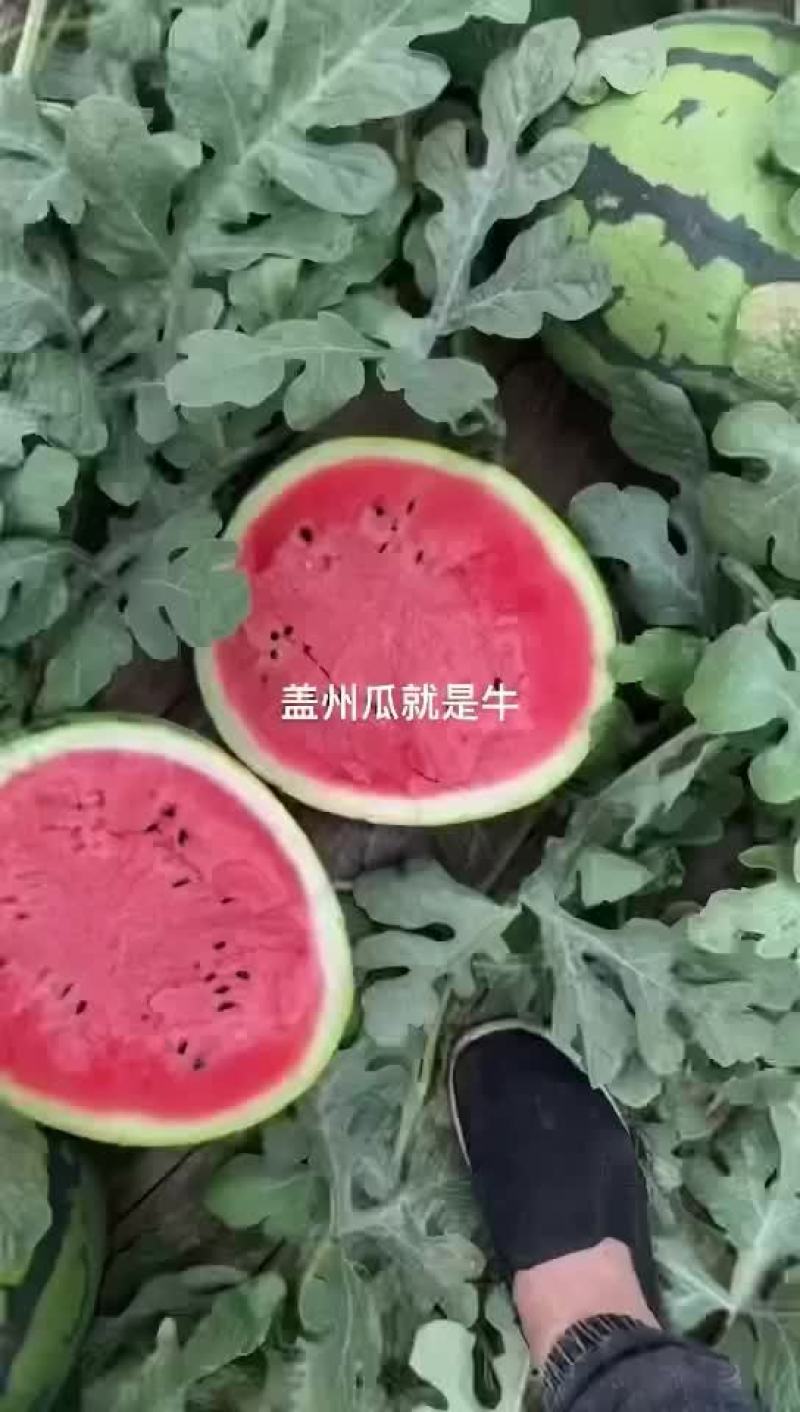 西瓜