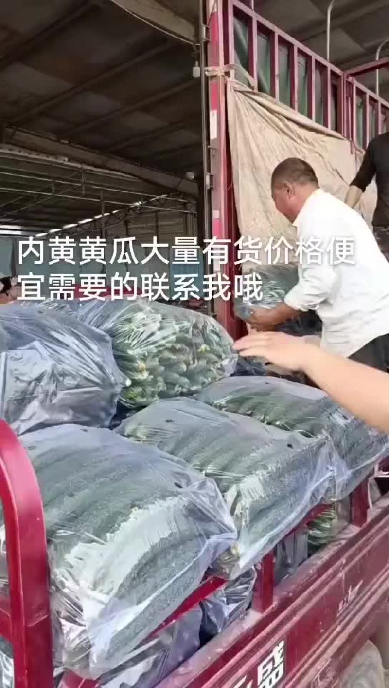 黄瓜