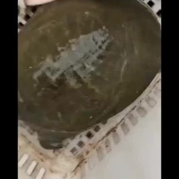 生态老甲鱼