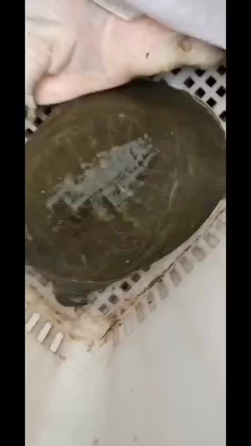 生态老甲鱼
