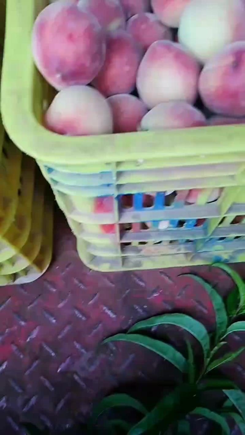 桃子