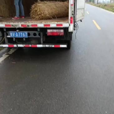 西瓜