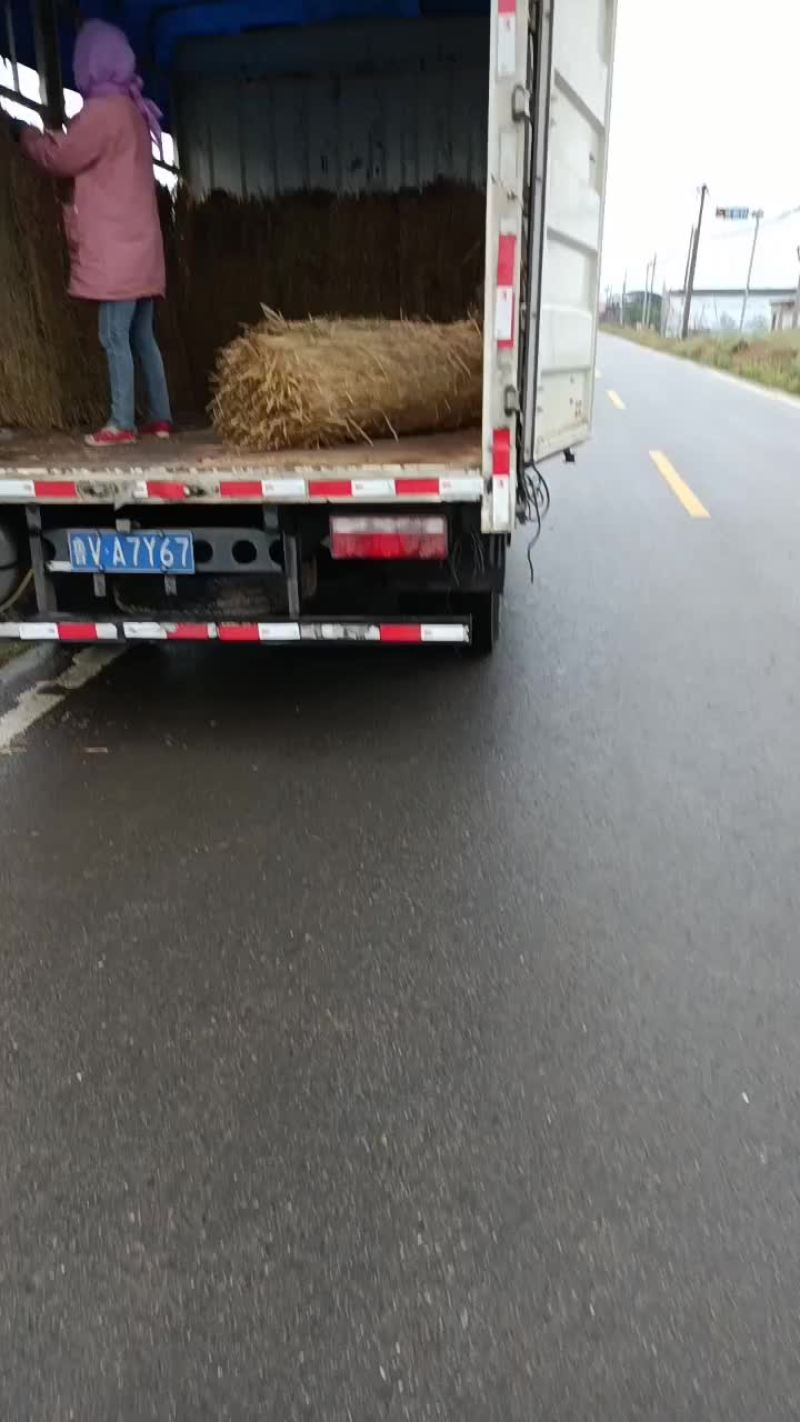 西瓜