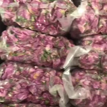 腌制好的玫瑰花