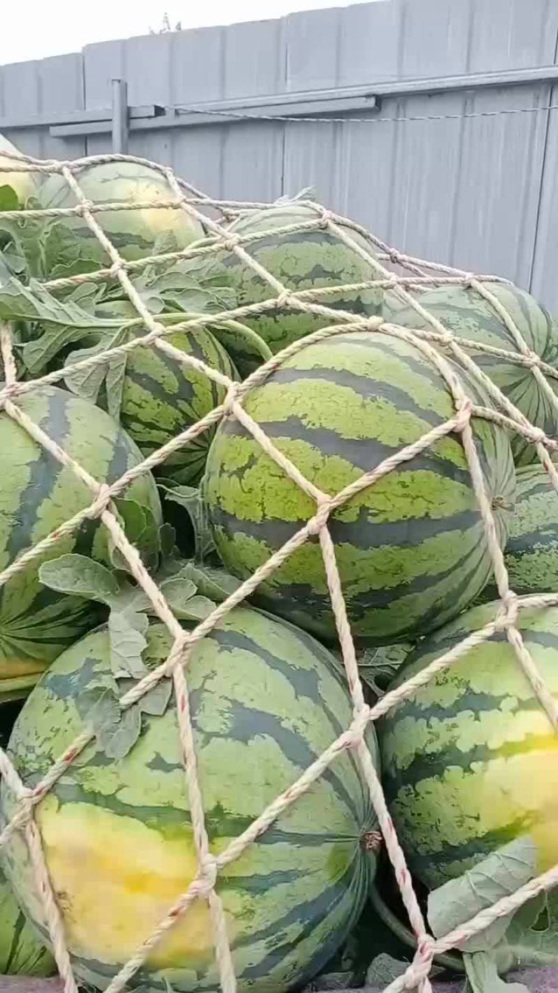 皮毛好，口感好