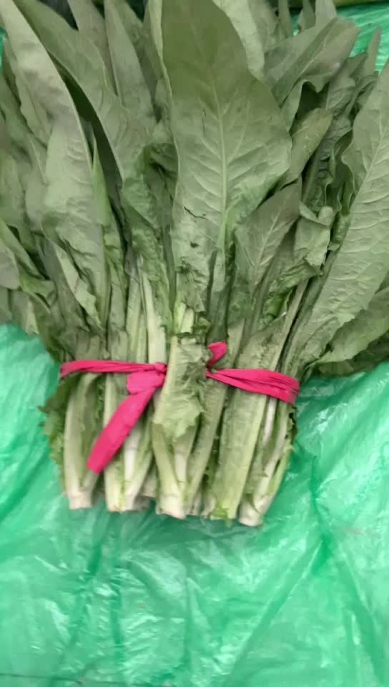 质量保证，随时可以发货装车