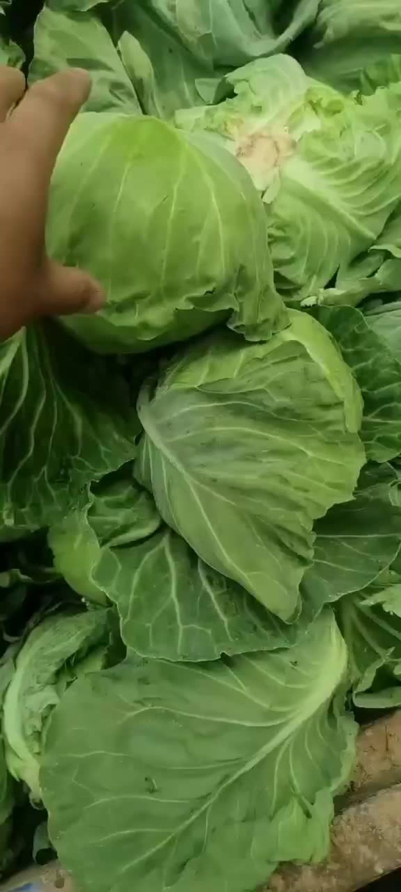 质量保证，随时可以发货装车