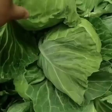 质量保证，随时可以发货装车
