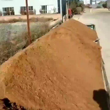 苹果渣