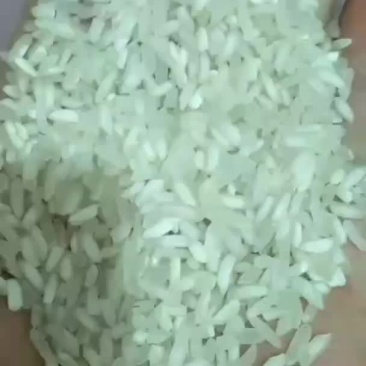 食堂低端米，白米