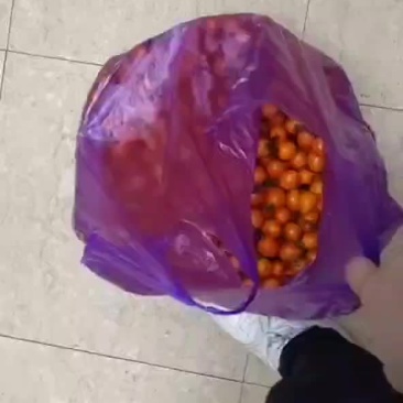 卖荔枝