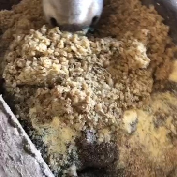 木薯渣