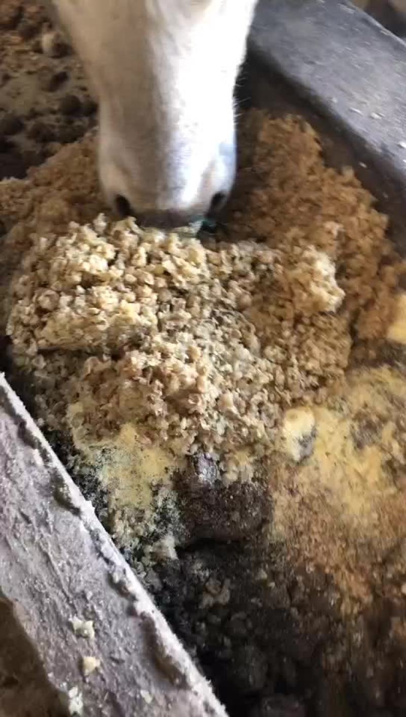 木薯渣