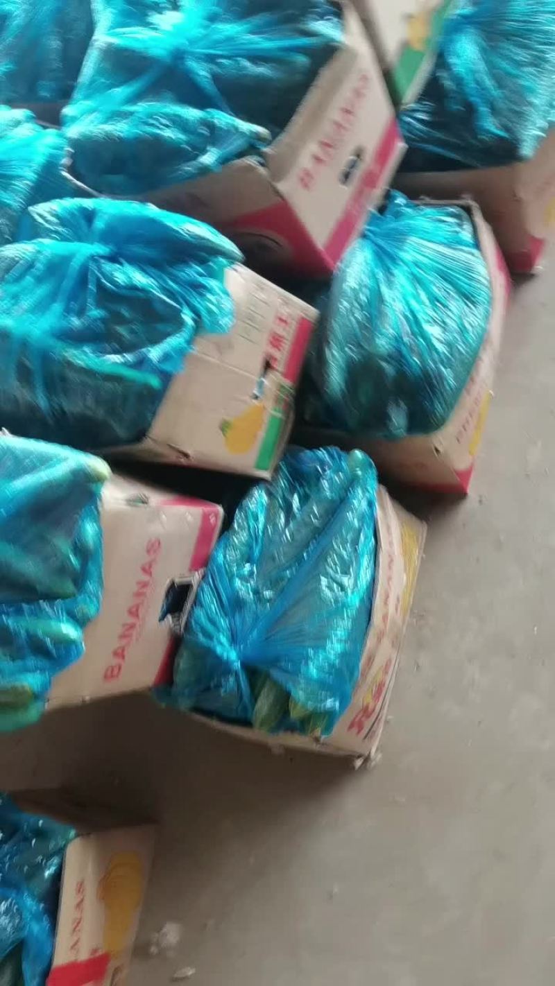 黄瓜有五吨现货，需要了联系
