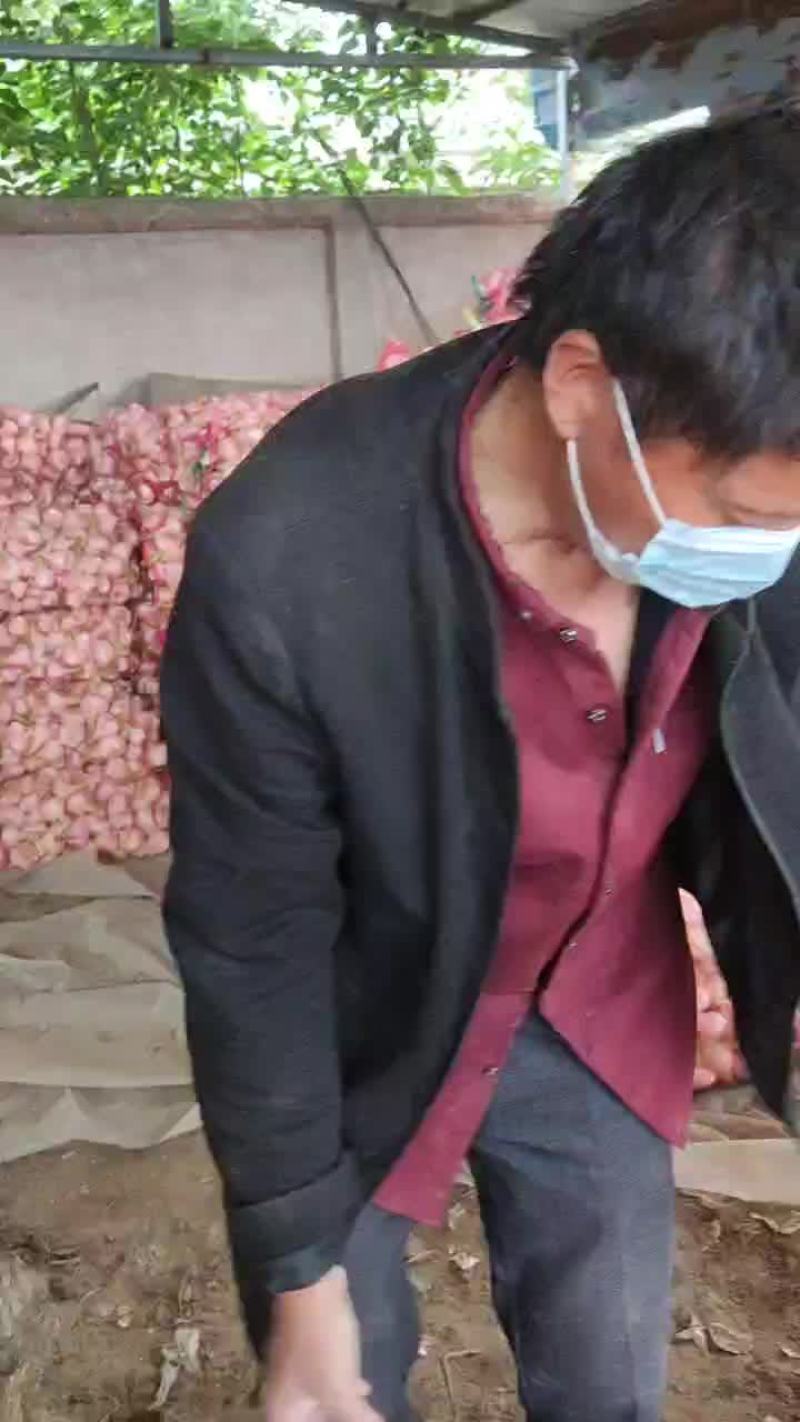 扒皮蒜大量供应你出价钱我想办法给你运出去