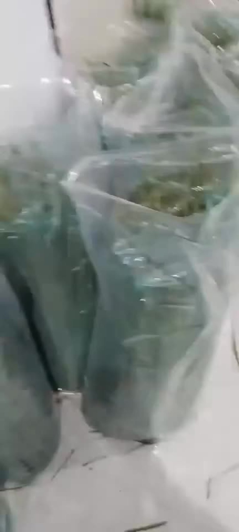 芦苇叶又有大货啦，品质可靠