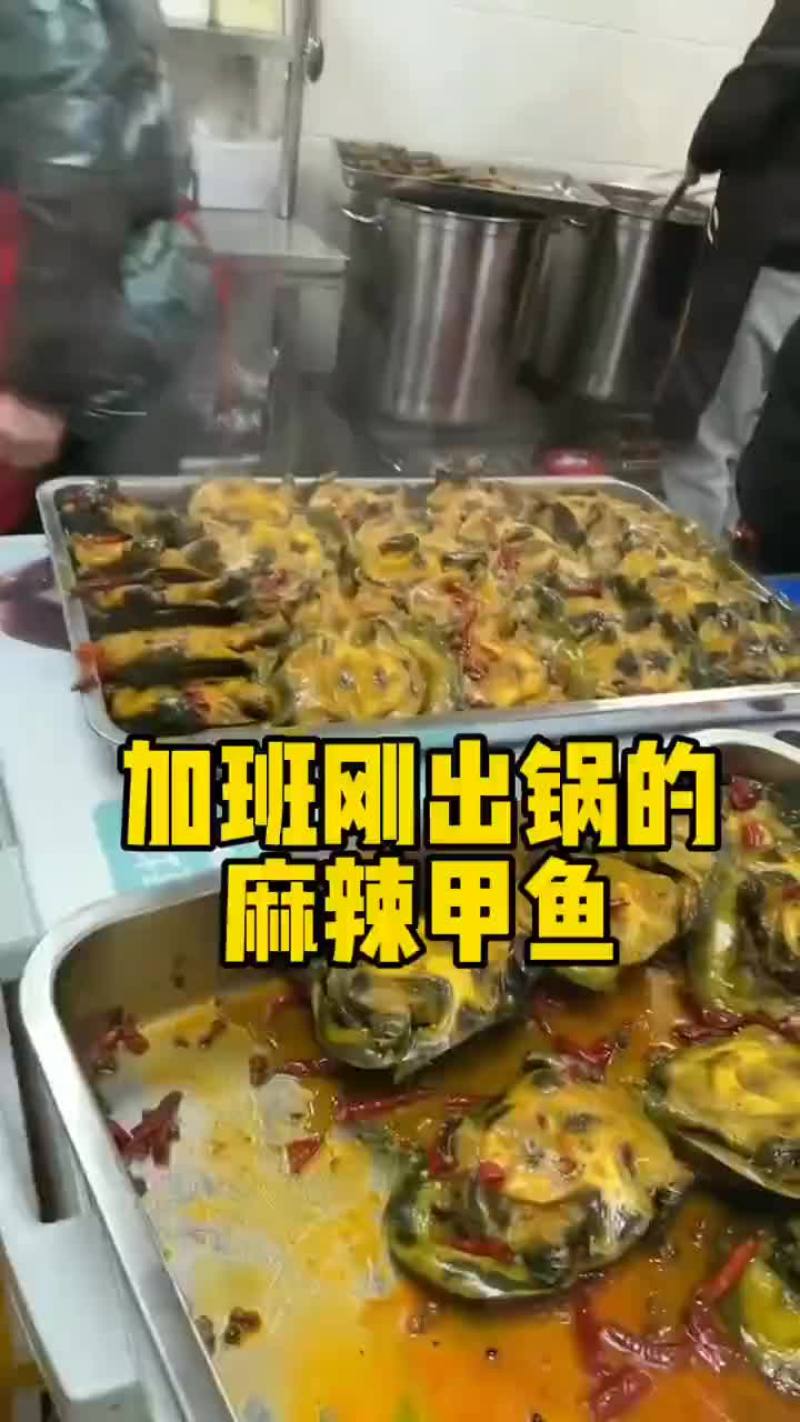 卤好的甲鱼，到家就可以食用，全国发货，量大从优