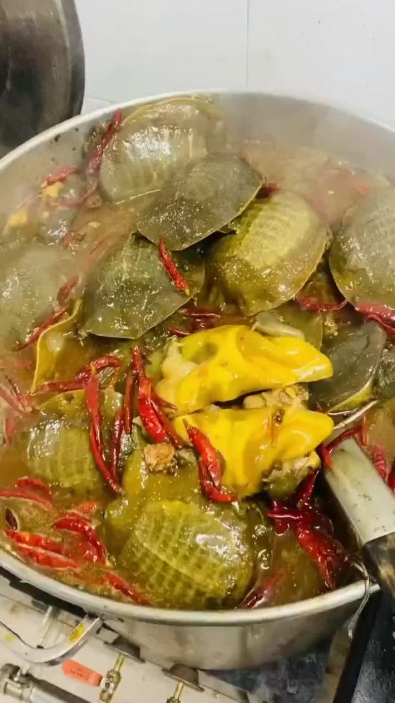 卤好的甲鱼，到家就可以食用，全国发货，量大从优
