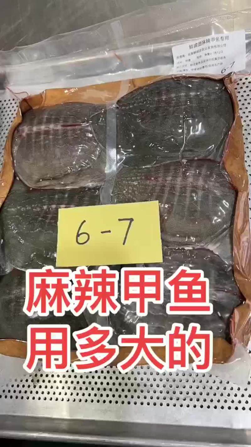 卤好的甲鱼，到家就可以食用，全国发货，量大从优