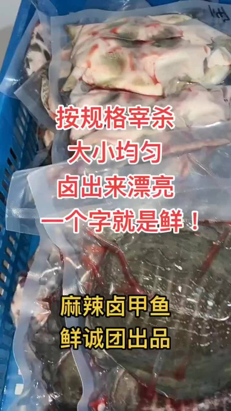 卤好的甲鱼，到家就可以食用，全国发货，量大从优