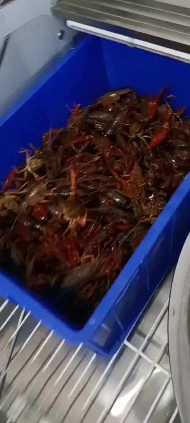 全国龙虾批发，价格实惠
