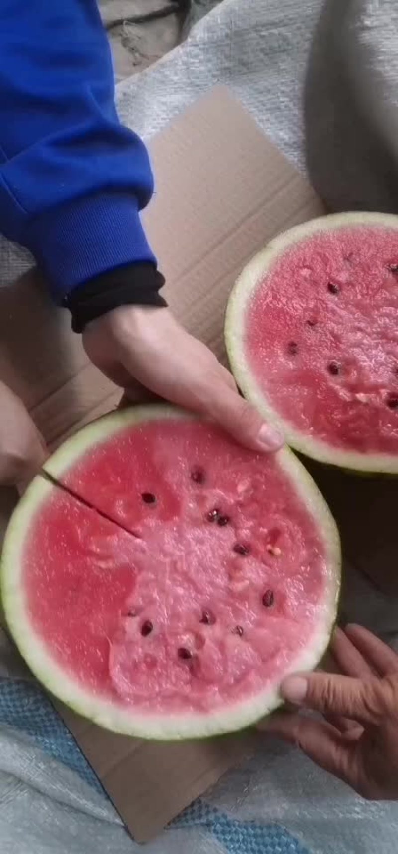 西瓜