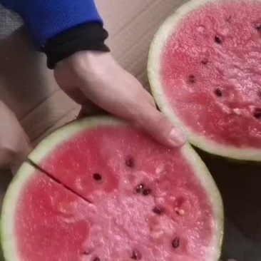 西瓜