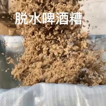 脱水吨包啤酒糟