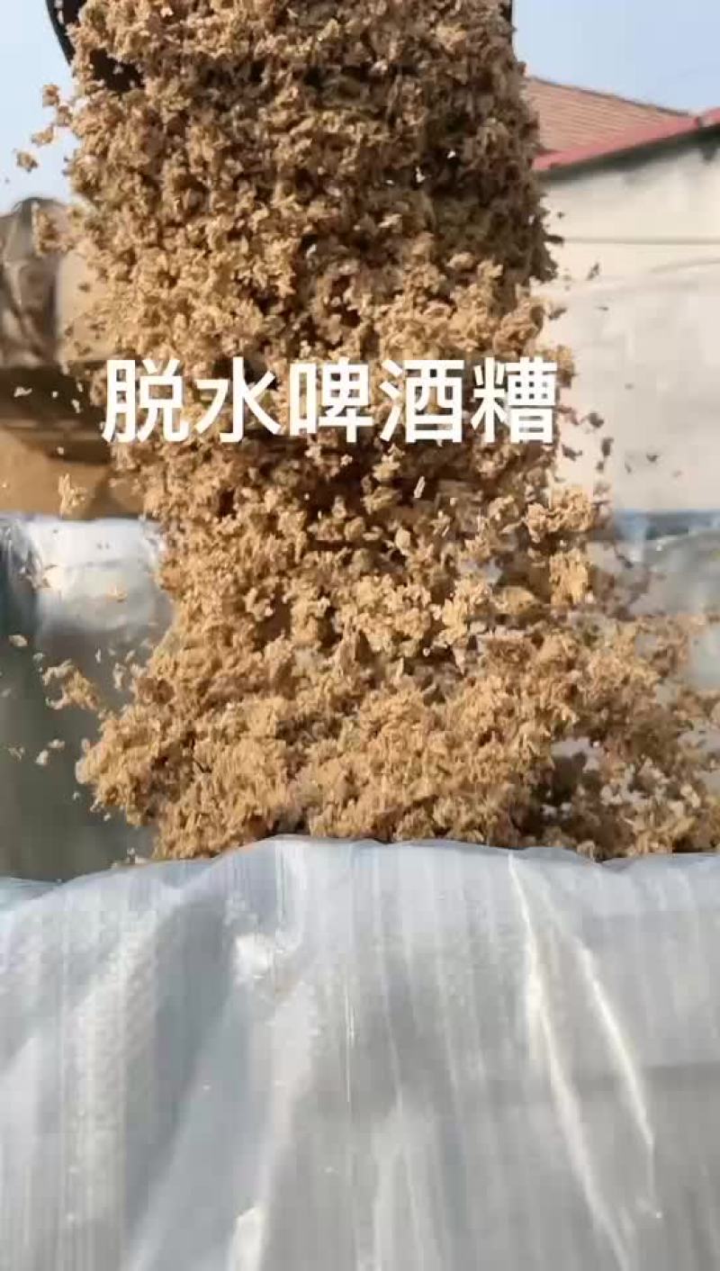 脱水吨包啤酒糟