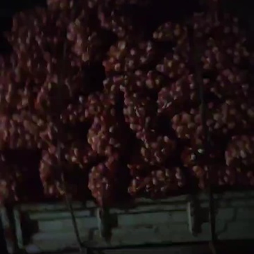 大量扒皮蒜