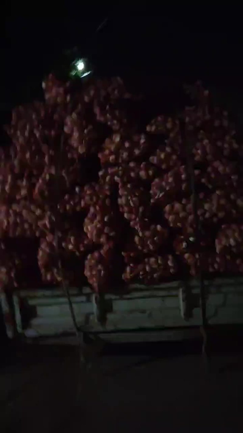 大量扒皮蒜