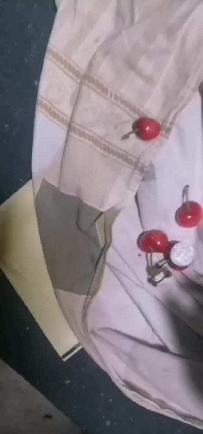 一元硬币大樱桃