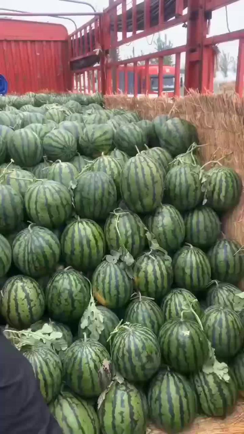 大量上市中