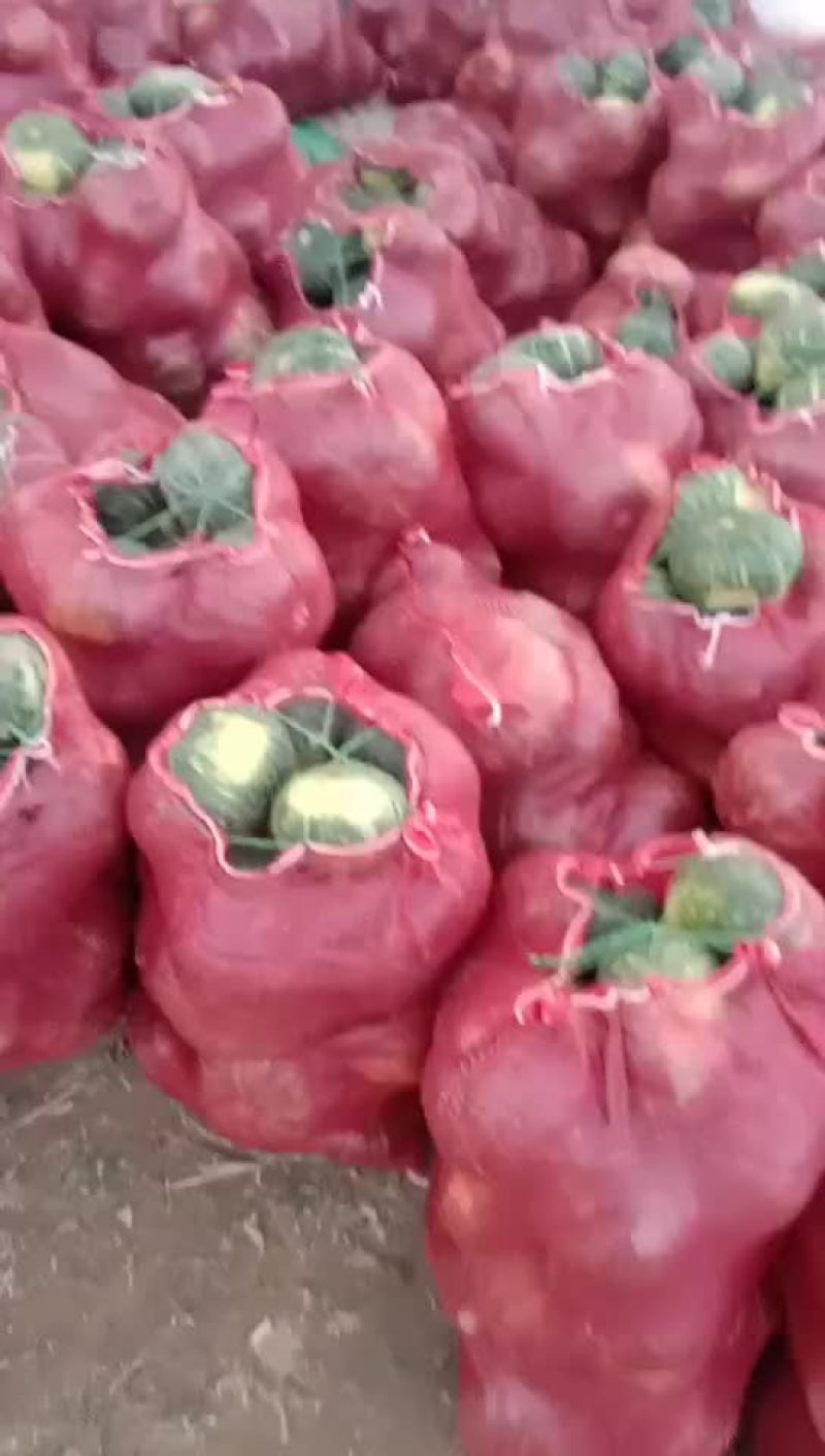 板栗南瓜大量上市需要老板联系