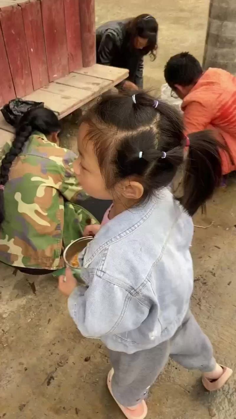 冬虫夏草