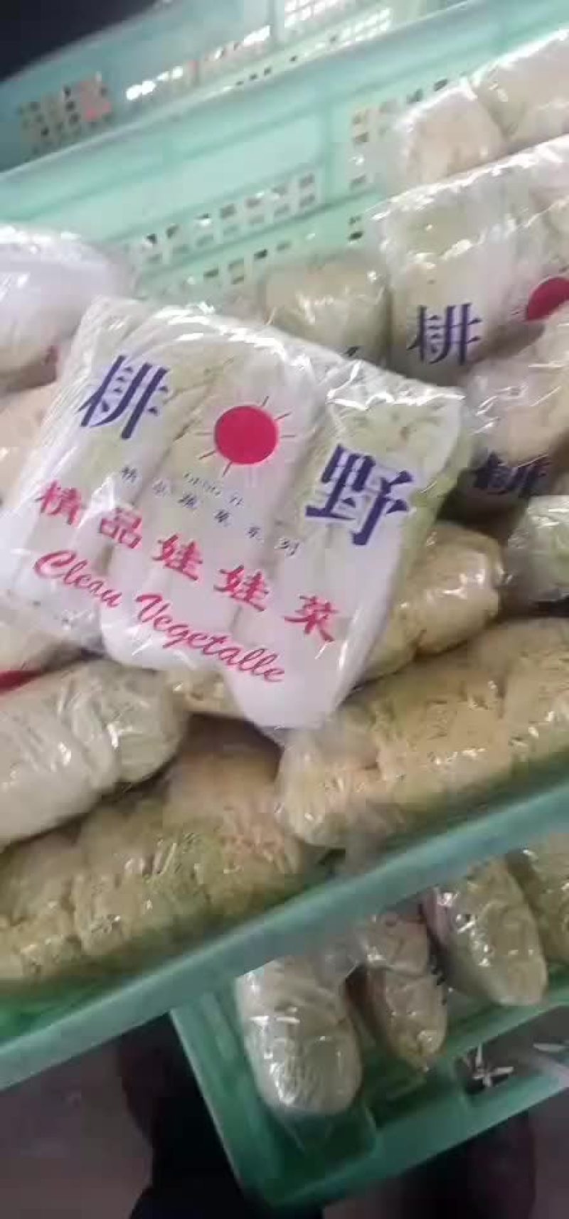 大娃娃菜