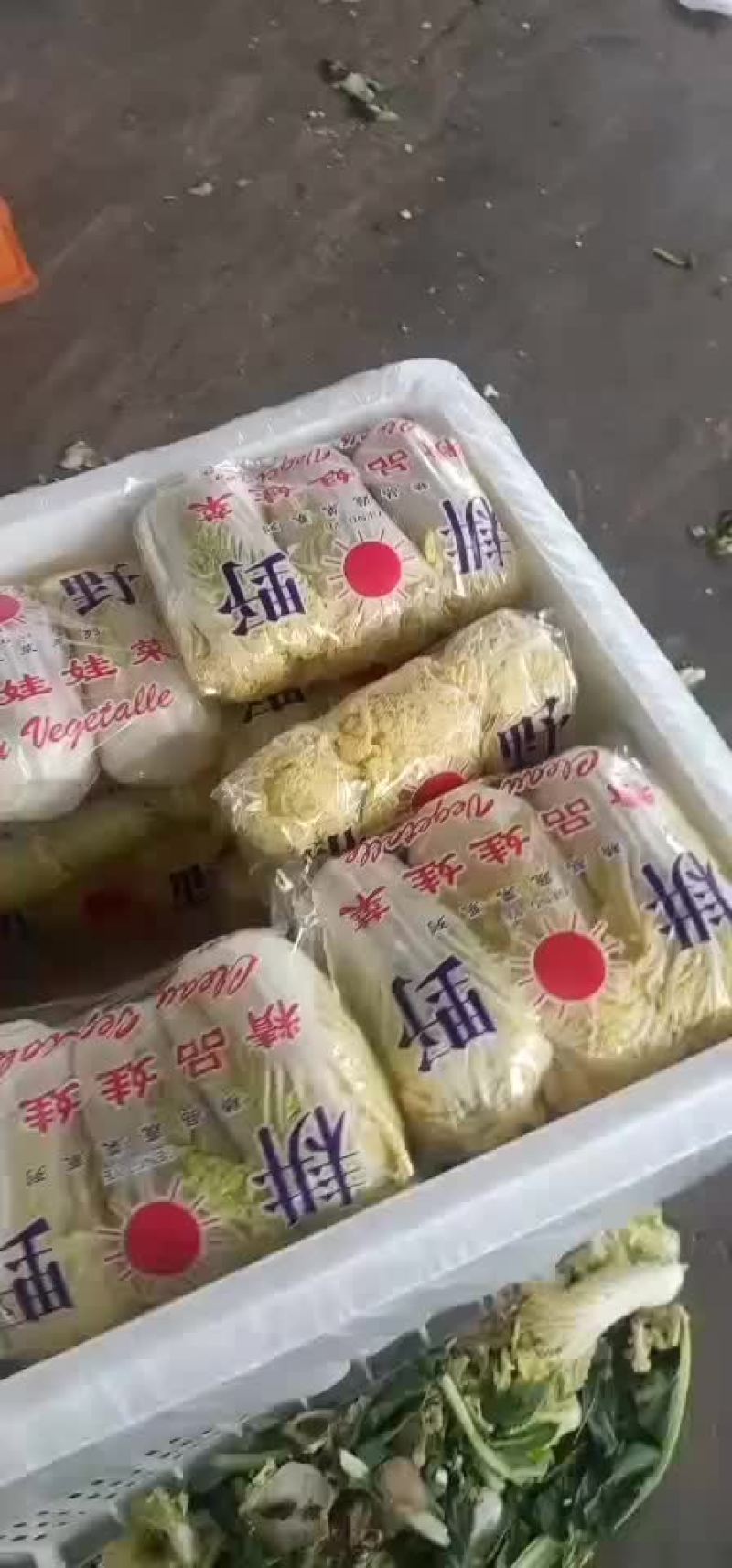 大娃娃菜