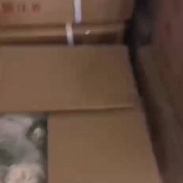 青瓜蒌片
