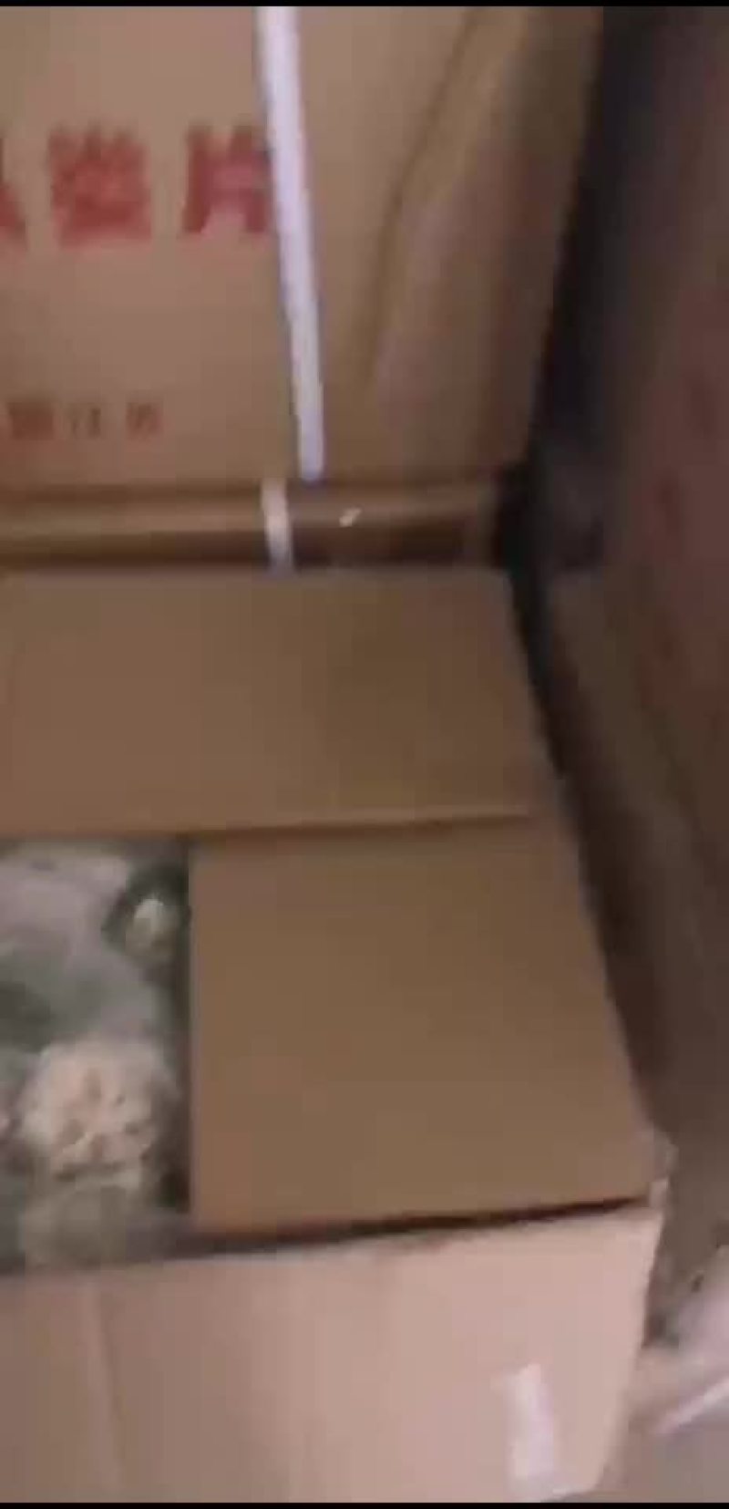青瓜蒌片