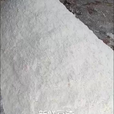 新鲜豆渣
