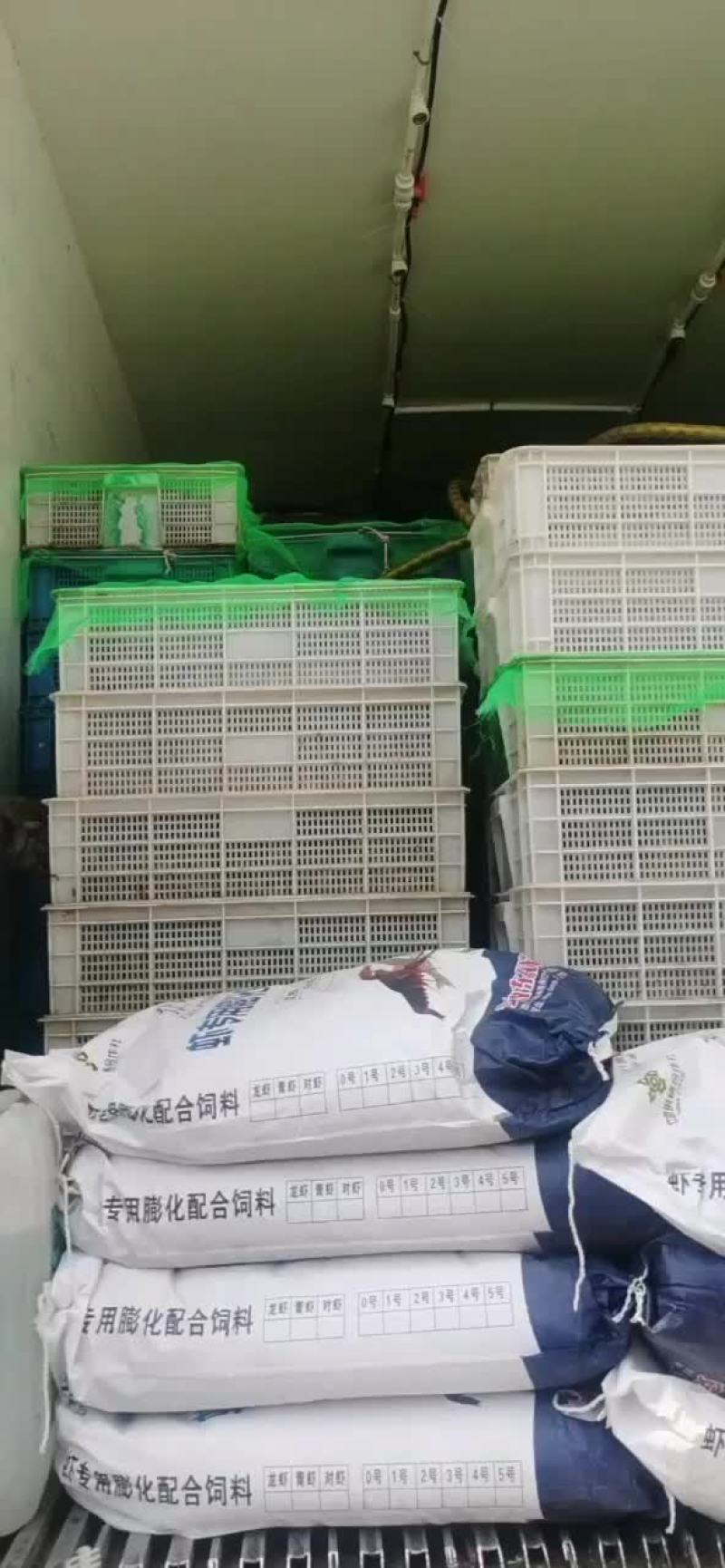 虾苗微山湖万亩龙虾养殖基地欢迎实地考察