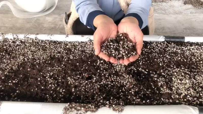 无土栽培用的基质含有水洗椰糠土蛭石火山石草碳土等
