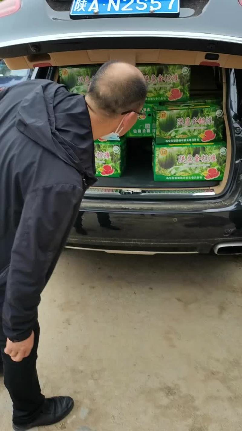 这几天我村的甜王己经大量上市了，欢迎大小客商都来我村拉来