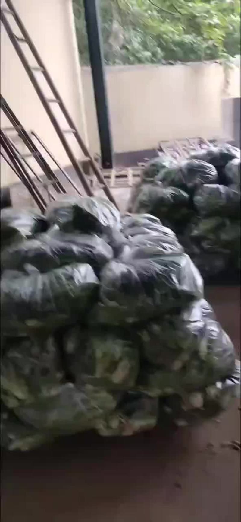 全国代收代发筐装，袋装精品叶菜。保证质量诚信至上。