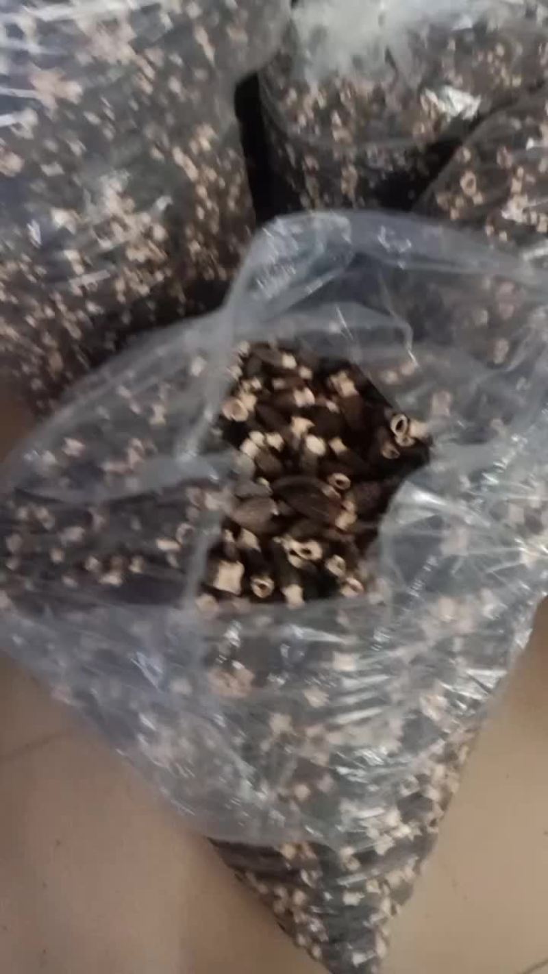 羊肚菌