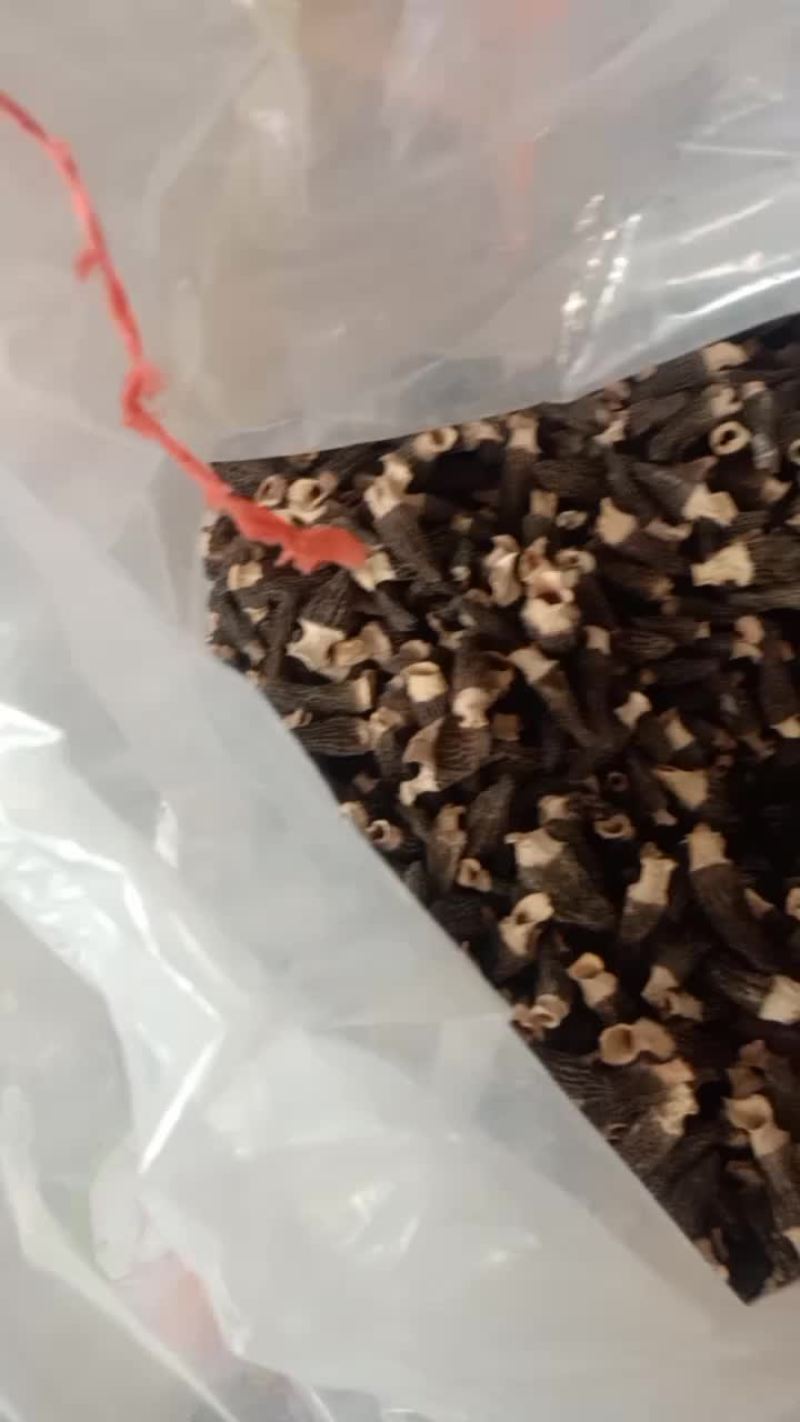 羊肚菌