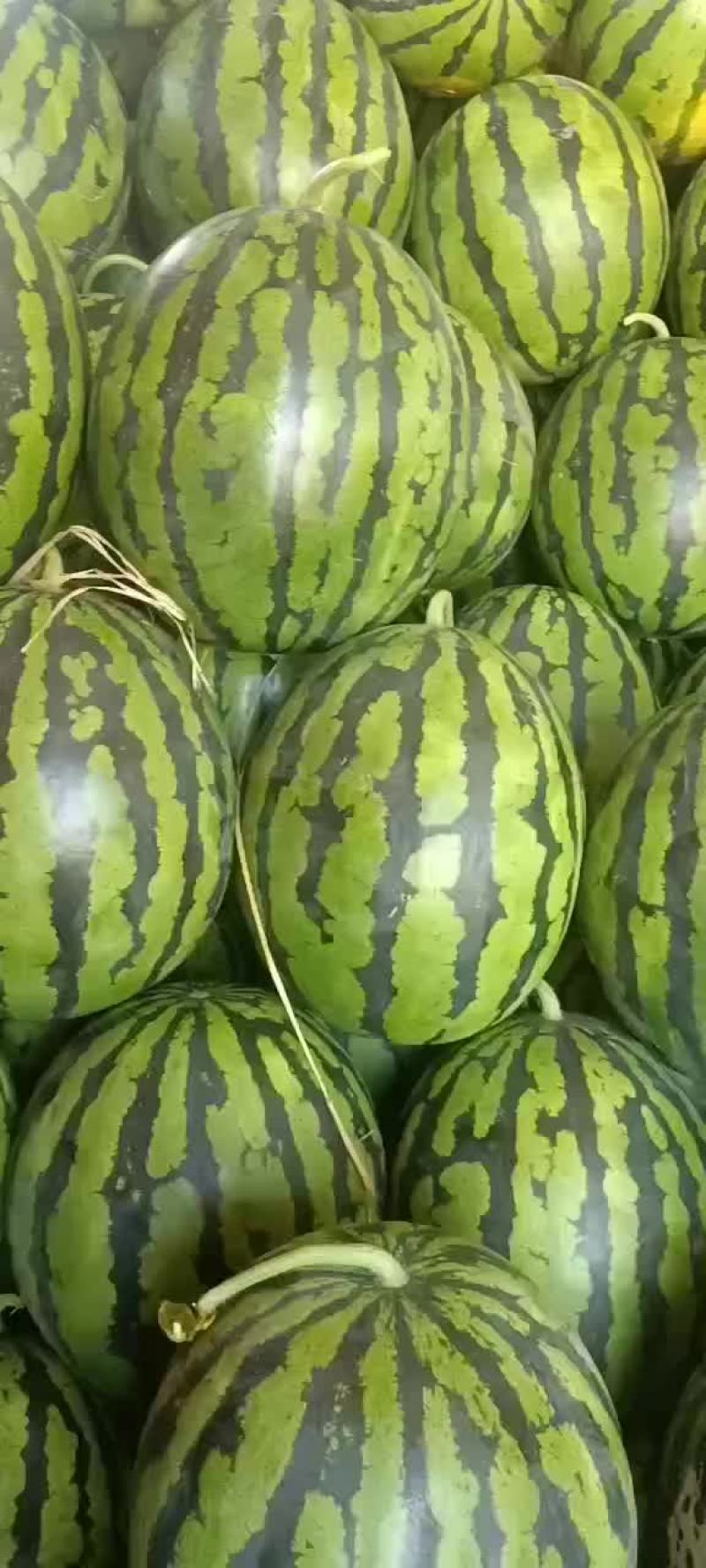 甜王
