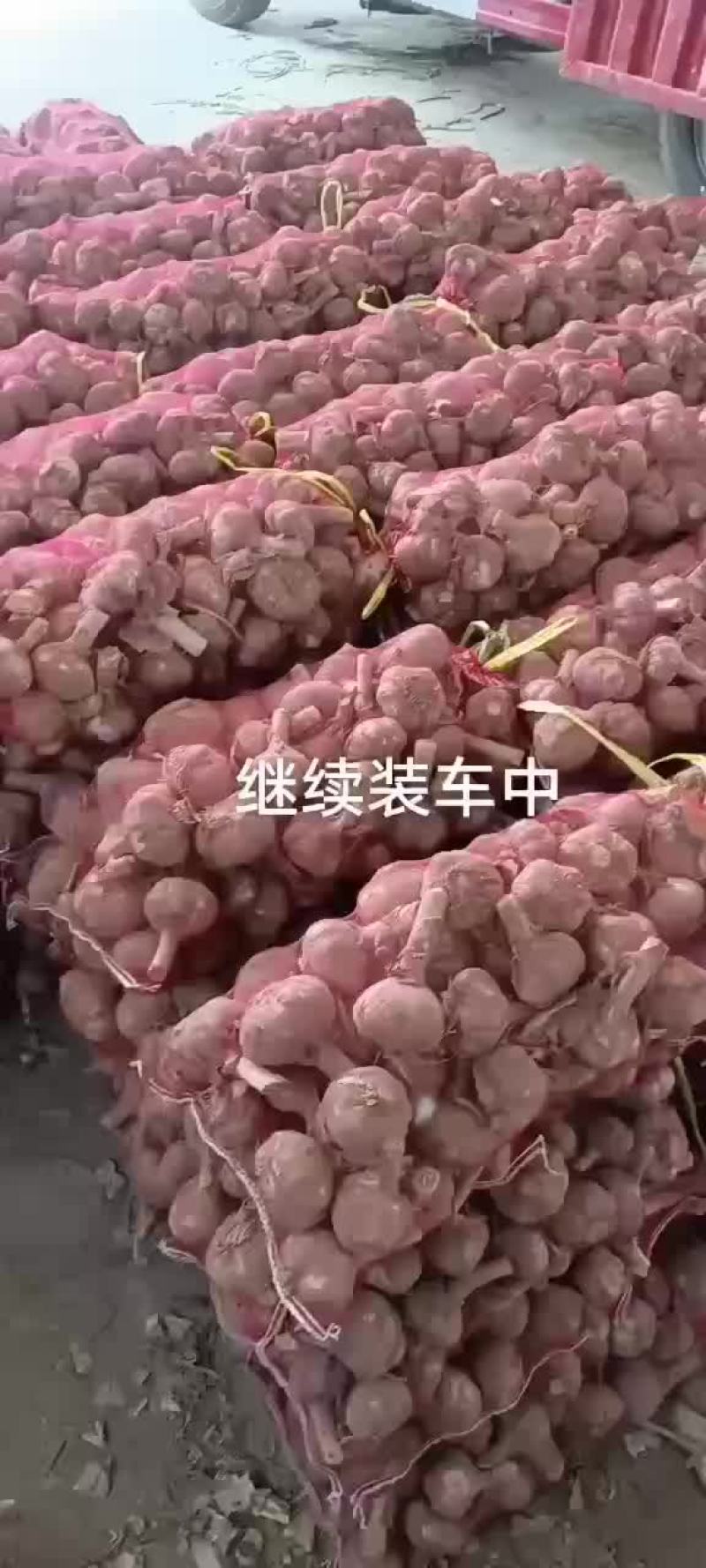 基地大蒜，质量好，货源充足，欢迎各位老板前来采购