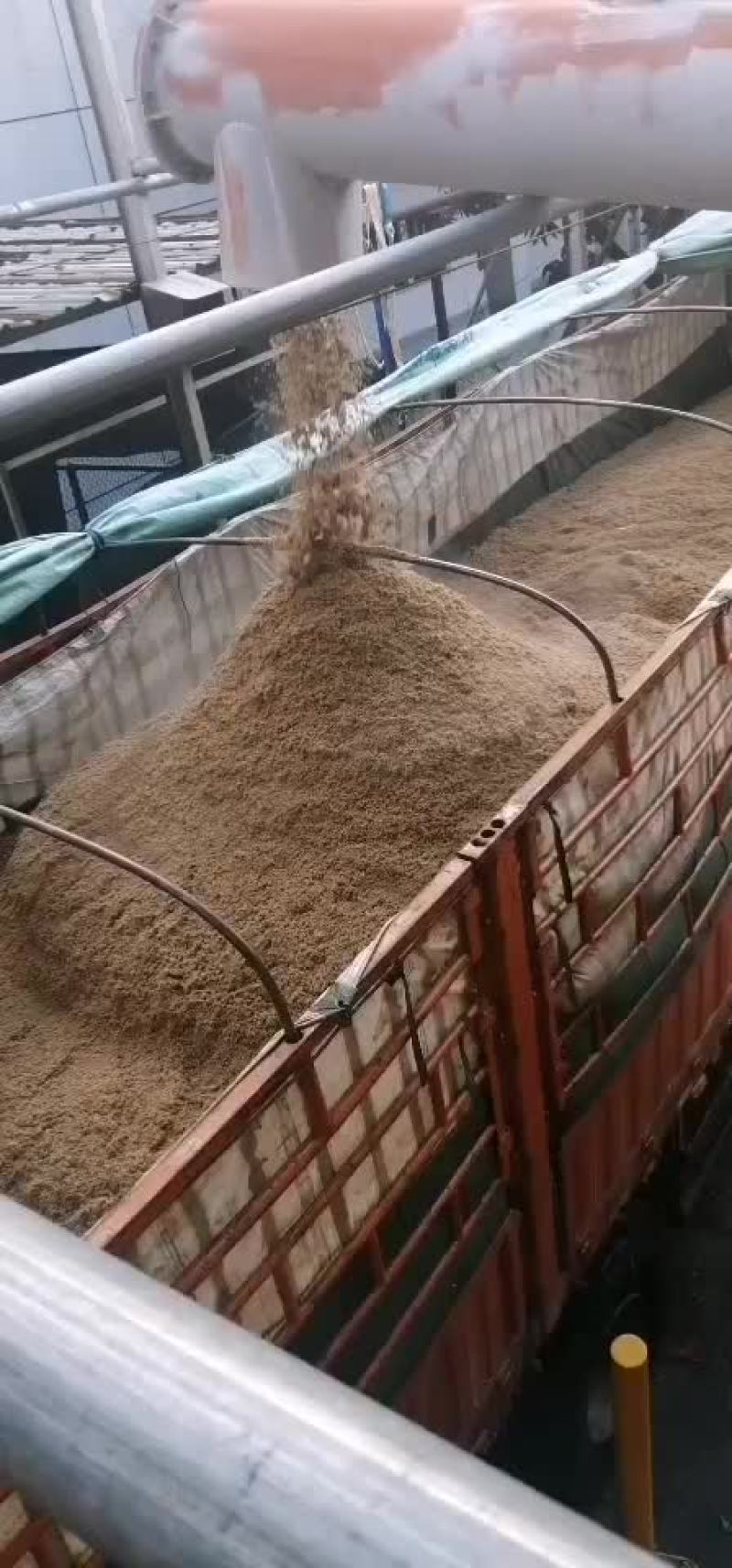 啤酒糟