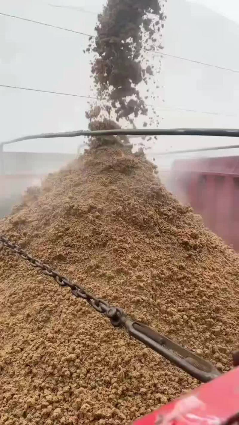 啤酒糟